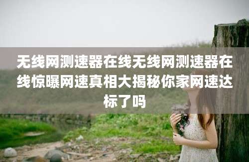 无线网测速器在线无线网测速器在线惊曝网速真相大揭秘你家网速达标了吗