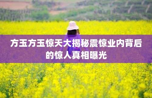 方玉方玉惊天大揭秘震惊业内背后的惊人真相曝光